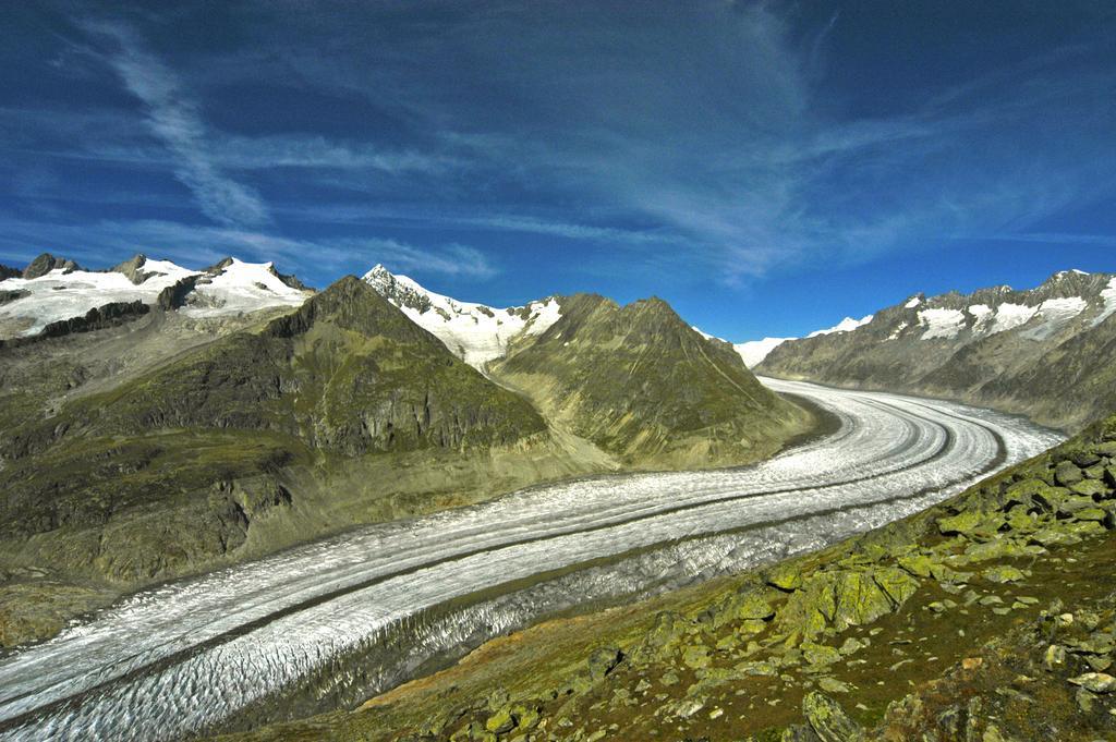 Alpenhaus 베트머알프 객실 사진